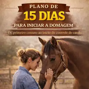 Plano para Iniciar a Domagem