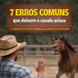 7 Erros que Deixam o Cavalo Mais Arisco