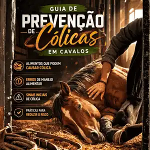 Guia de Prevenção de Cólicas
