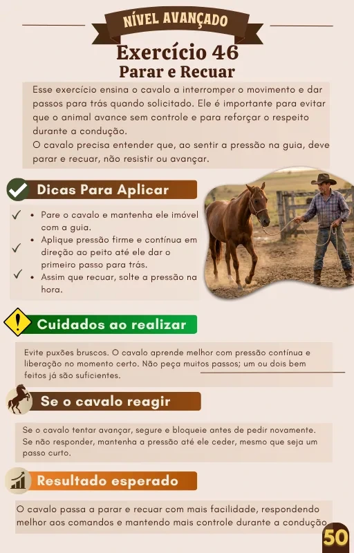 Exercício 4