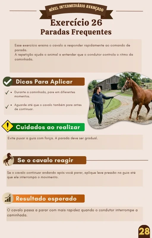Exercício 5