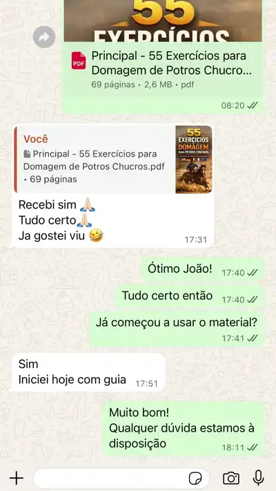 Depoimento 2