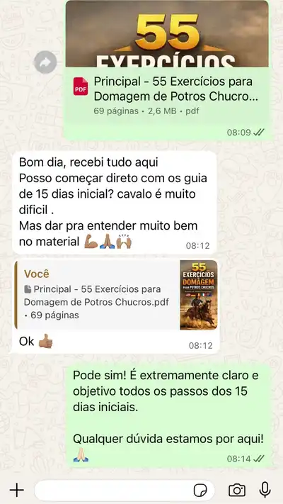 Depoimento 3